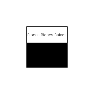 Bianco Bienes Raices