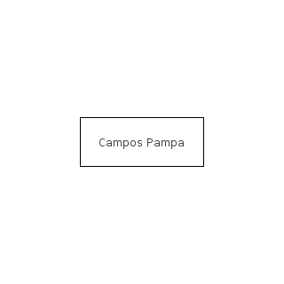 Campos Pampa