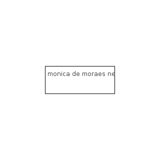 Monica De Moraes Negocios Inmobiliarios