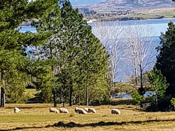 Granja en venta en Maldonado