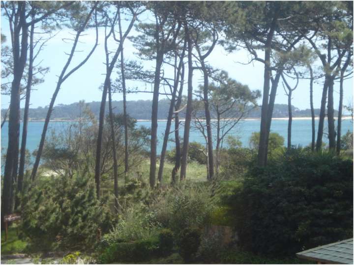 Apartamento en venta en Punta Del Este