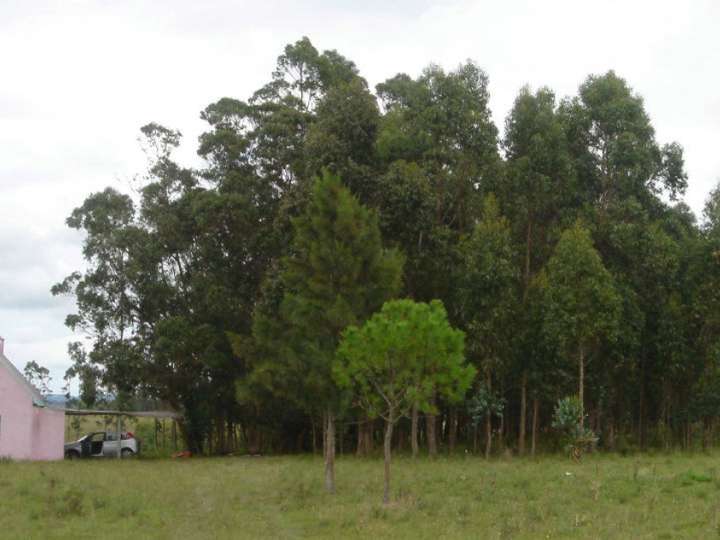 Granja en venta en El Tesoro