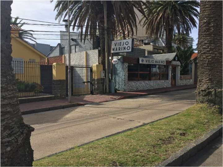 Comercial / Tienda en venta en Maldonado