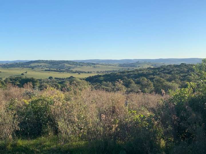 Granja en venta en Maldonado