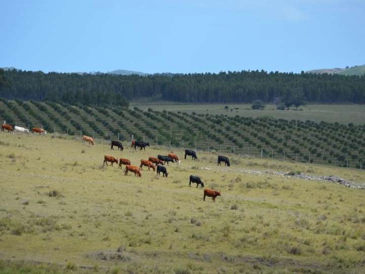 Granja en venta en Maldonado