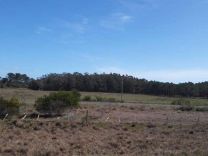 Granja en venta en Rocha