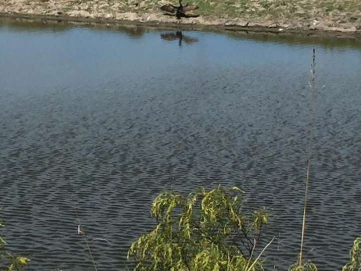 Granja en venta en Maldonado