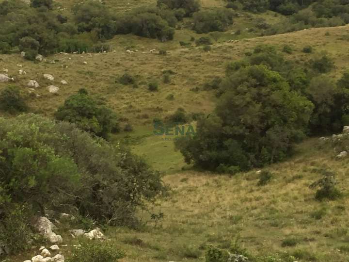Granja en venta en Aiguá