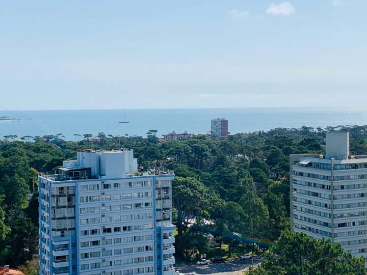 Apartamento en venta en Avenida Franklin Delano Roosevelt, Punta Del Este