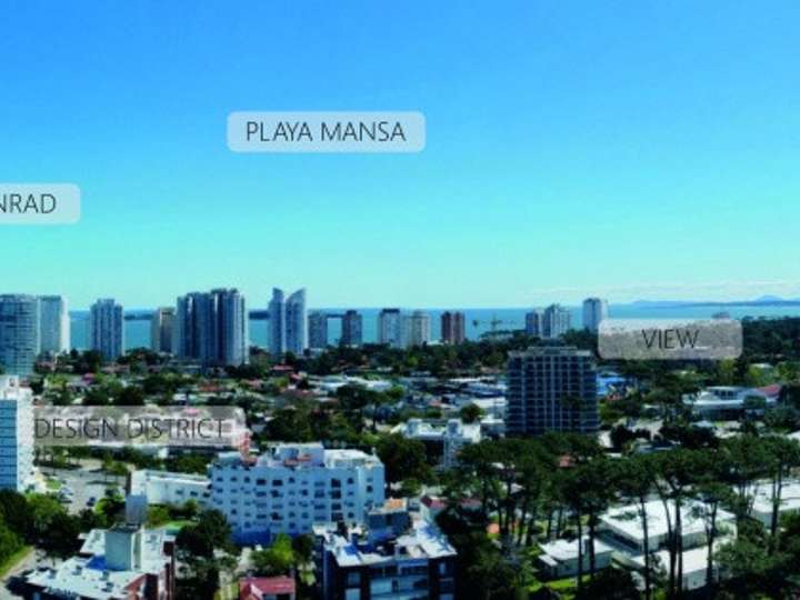Apartamento en venta en Punta Del Este