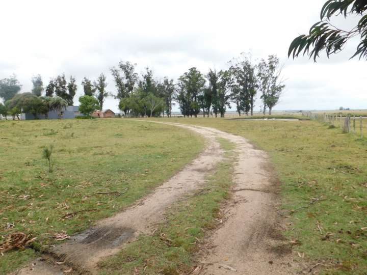 Granja en venta en Buenos Aires