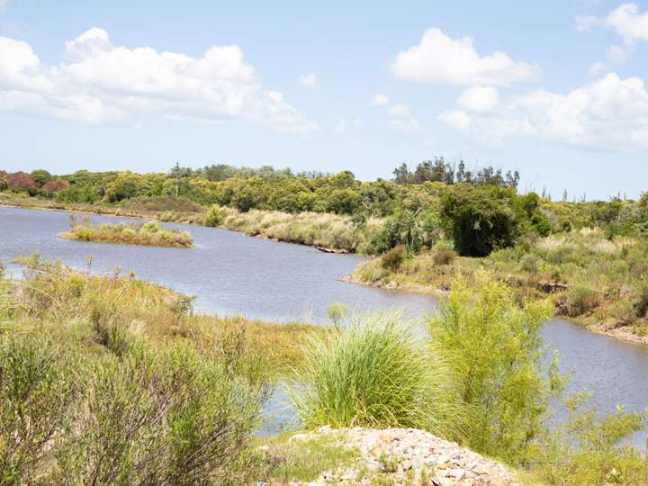 Granja en venta en Buenos Aires
