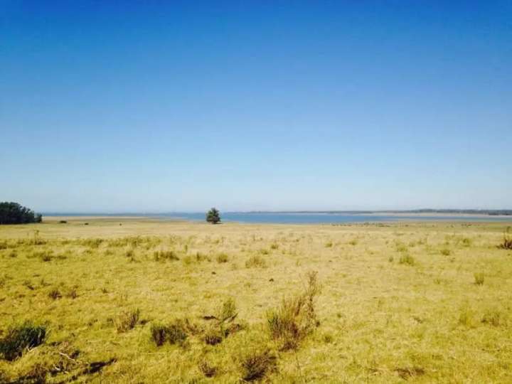Granja en venta en Buenos Aires