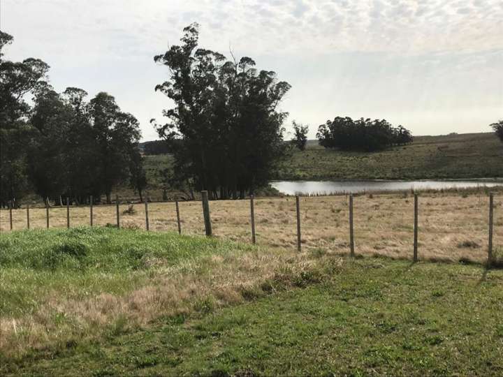 Granja en venta en Sarubbi, Maldonado