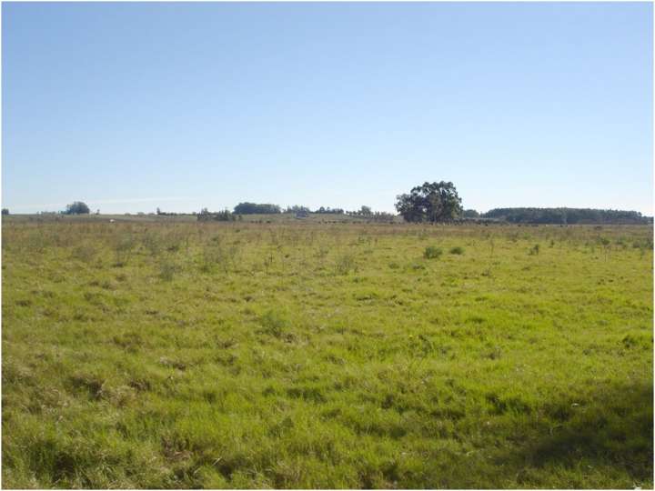Granja en venta en Maldonado