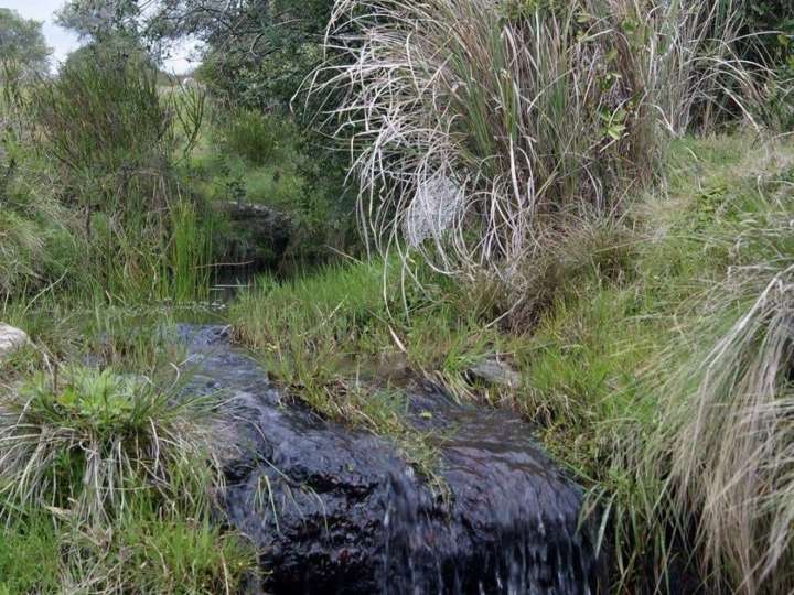 Granja en venta en La Coronilla, Lavalleja