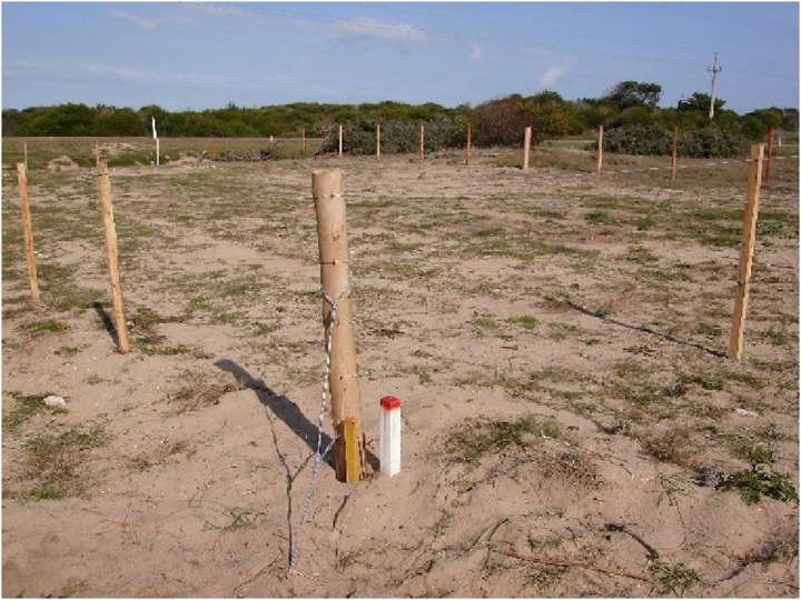 Terreno en venta en Maldonado