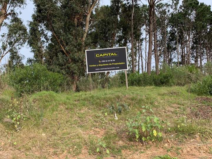 Terreno en venta en Avenida a la Laguna, Maldonado