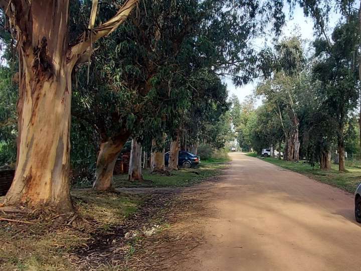 Terreno en venta en Avenida Eduardo Víctor Haedo, El Tesoro