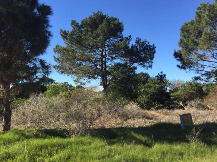 Terreno en venta en Maldonado