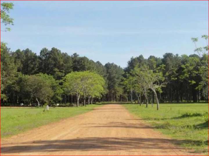 Terreno en venta en Maldonado