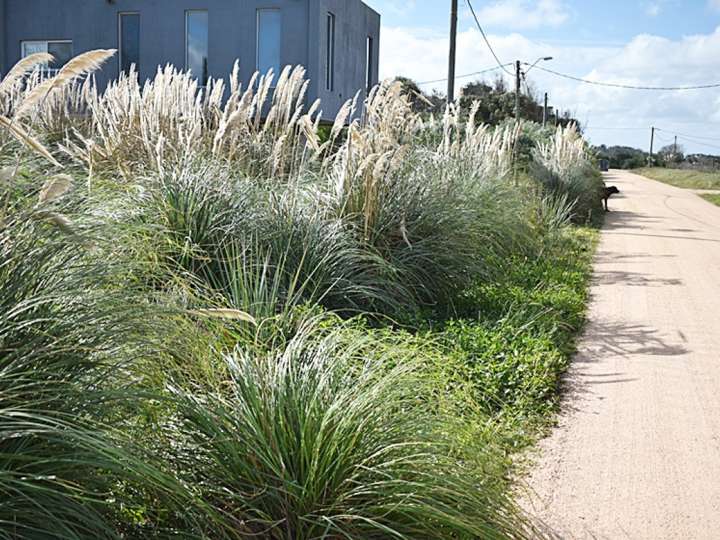 Terreno en venta en Maldonado