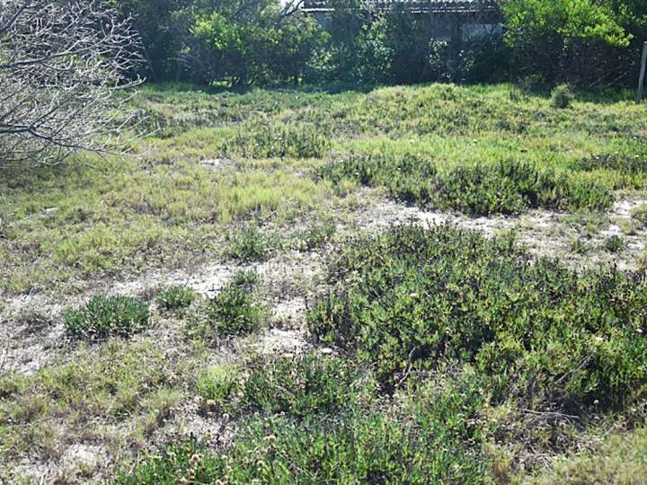 Terreno en venta en Maldonado