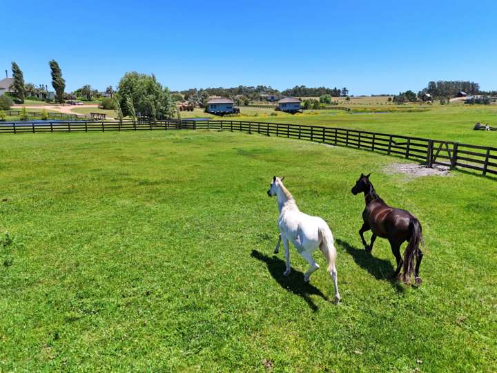 Terreno en venta en Maldonado