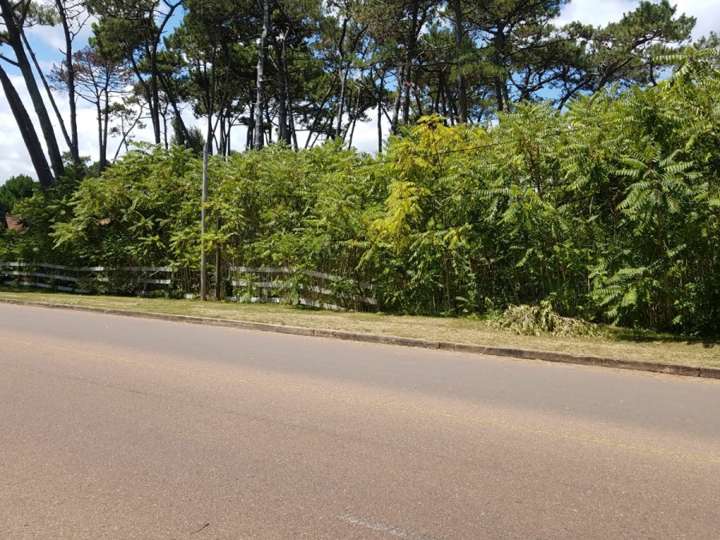 Terreno en venta en Punta Del Este