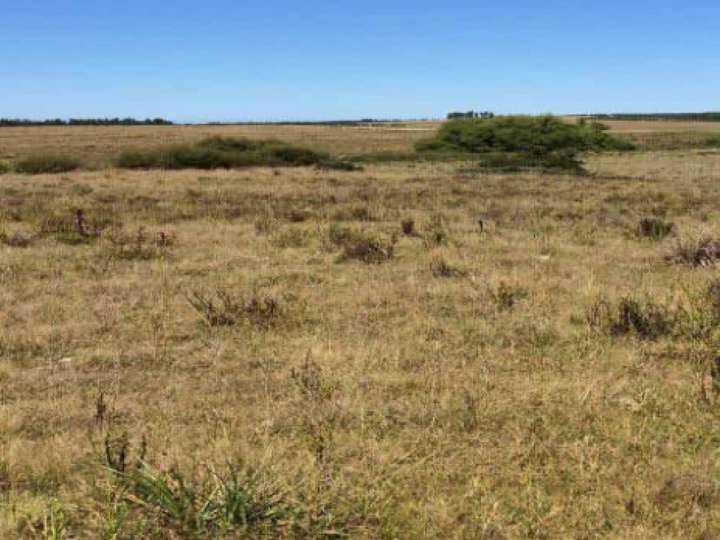 Terreno en venta en Maldonado