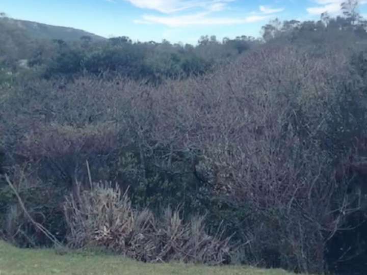 Terreno en venta en Maldonado