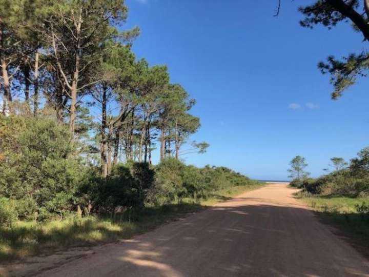 Terreno en venta en Maldonado