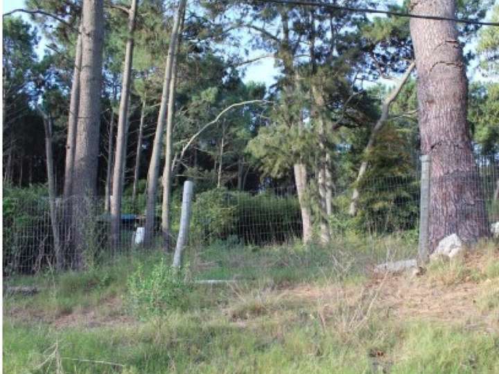 Terreno en venta en Pinares, Maldonado