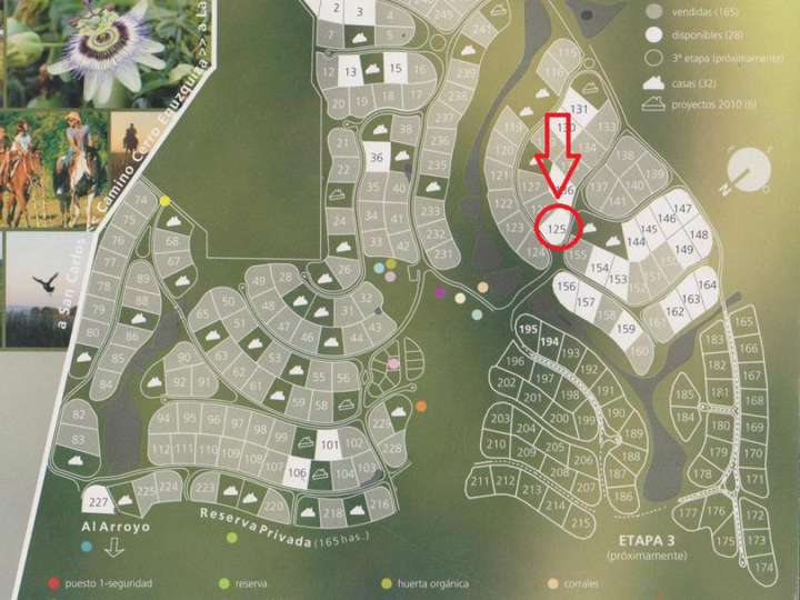 Terreno en venta en El Tesoro