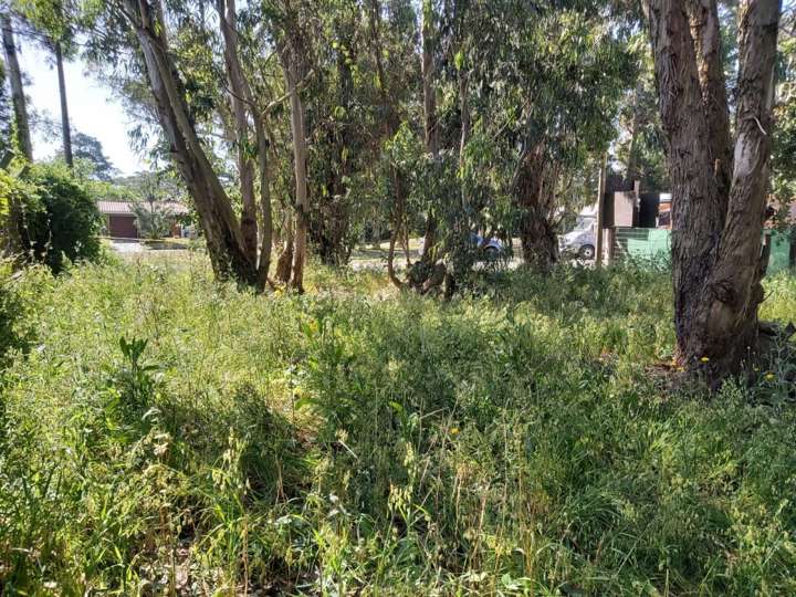 Terreno en venta en Punta Del Este