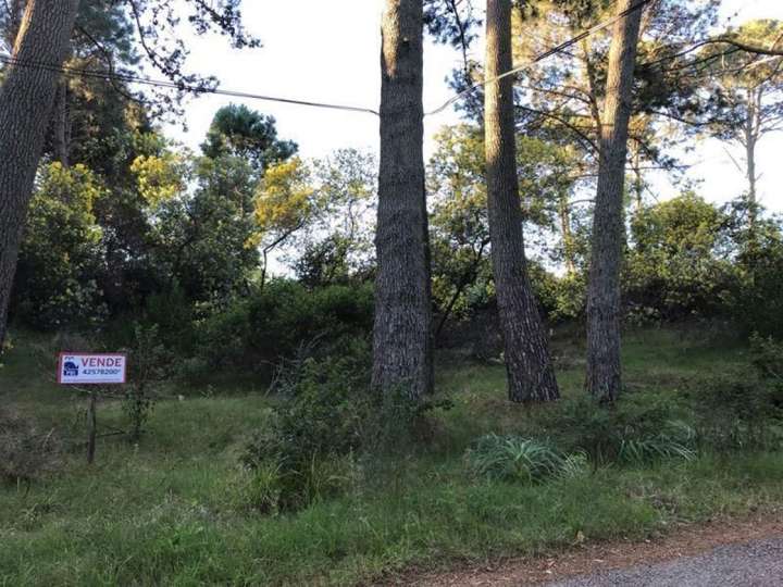 Terreno en venta en La Cinacina, Maldonado