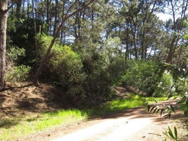 Terreno en venta en Lago Varana, Maldonado