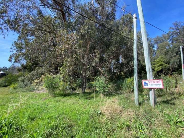 Terreno en venta en Cerro de las Palmas, Maldonado