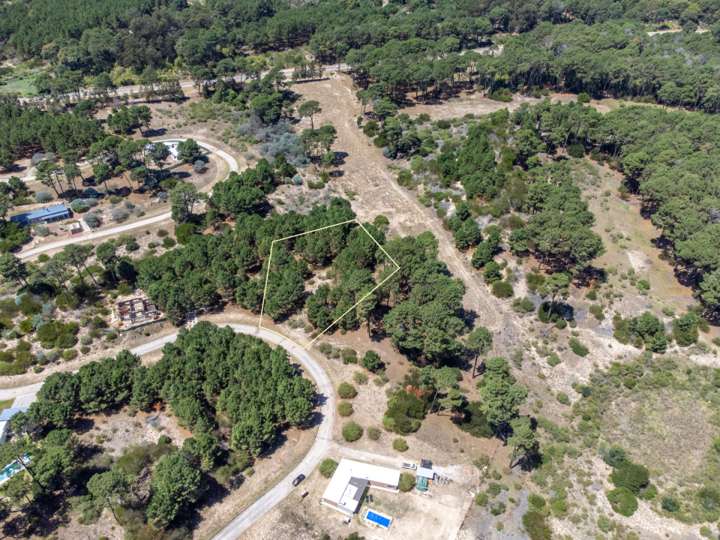 Terreno en venta en Punta Ballena