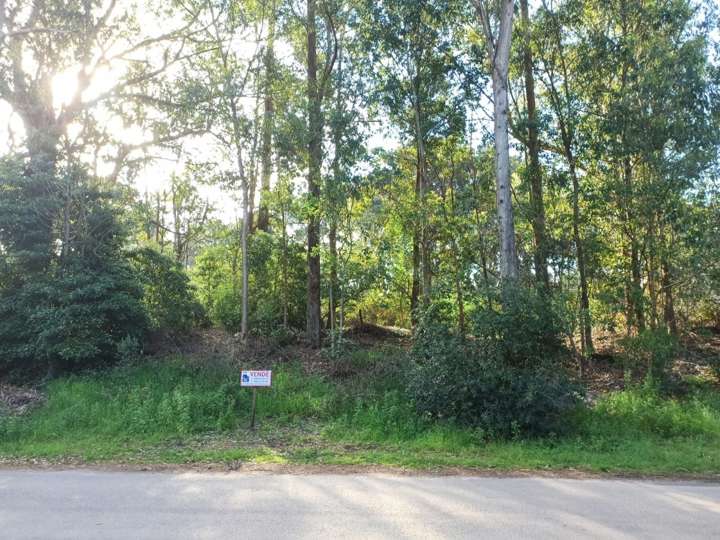 Terreno en venta en El Algarrobo, Maldonado