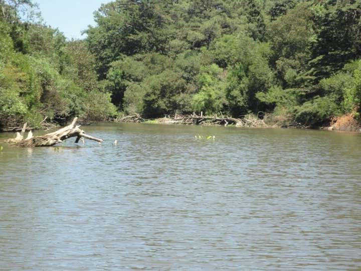 Terreno en venta en Maldonado