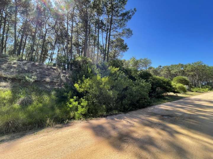 Terreno en venta en El Pujamen, Maldonado