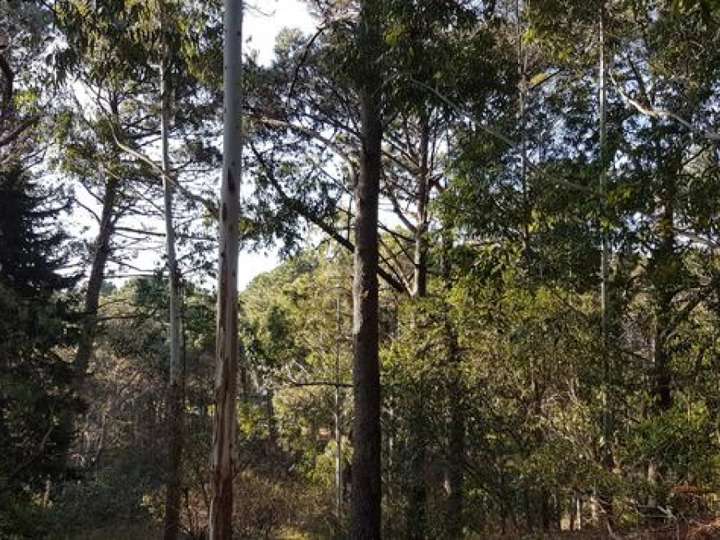 Terreno en venta en Laguna del Sauce, Maldonado