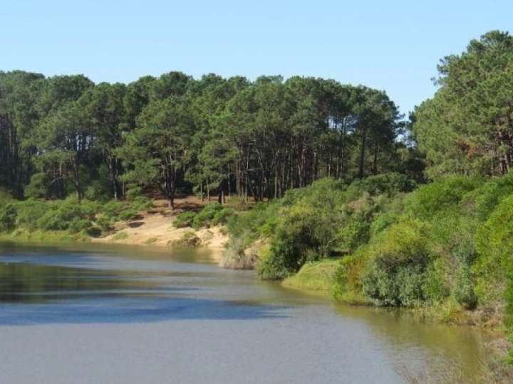 Terreno en venta en Rambla del Portero, Maldonado