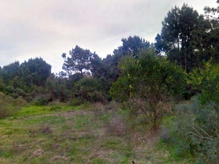 Terreno en venta en Maldonado