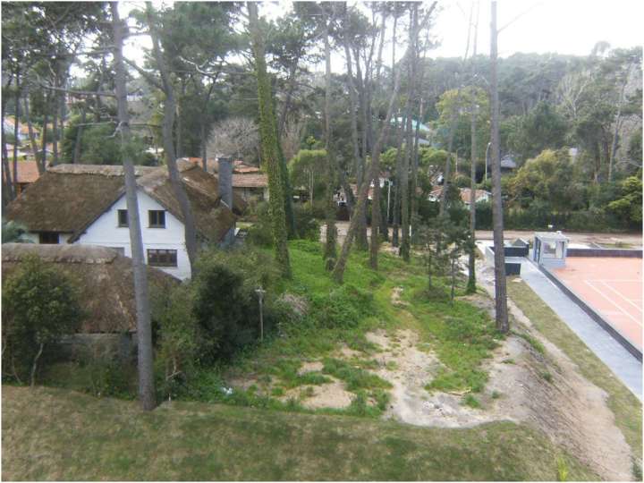 Apartamento en venta en Maldonado