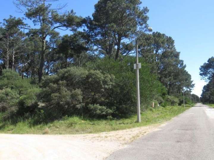 Terreno en venta en Maldonado