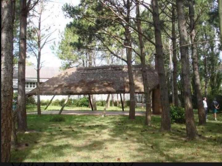 Comercial / Tienda en venta en Maldonado