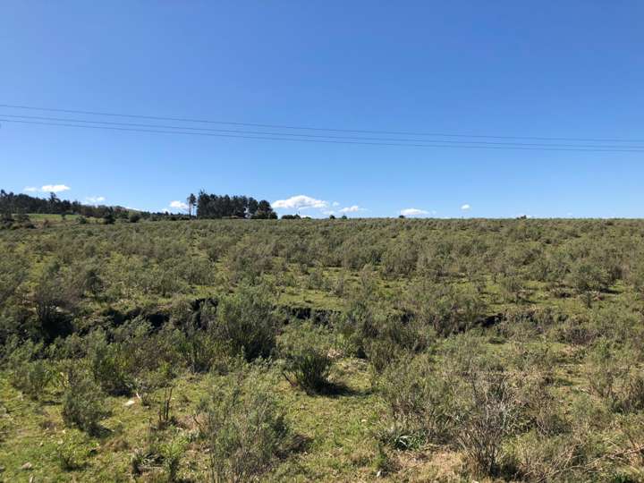 Granja en venta en Buenos Aires