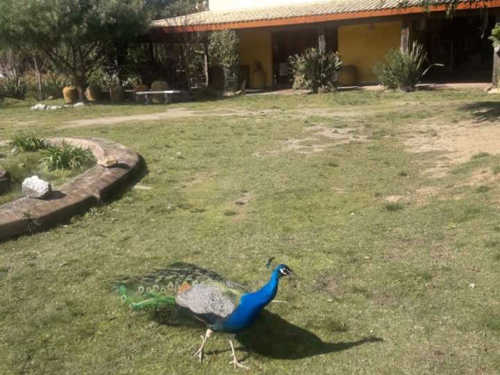 Granja en venta en Maldonado